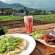Pupuk Bawang Cafe - Ini 6 restoran terbaik dengan nuansa pedesaan di Malang. (wisata.com)